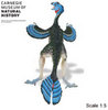 Safari LTD, Carnegie Collectibles, Caudipteryx