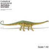 Safari LTD, Carnegie Collectibles, Diplodocus