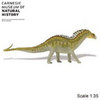 Safari LTD, Carnegie Collectibles, Amargasaurus