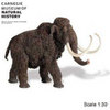 Safari LTD, Carnegie Collectibles, Woolly Mammoth