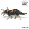 Safari LTD, Carnegie Collectibles, Triceratops