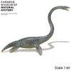 Safari LTD, Carnegie Collectibles, Elasmosaurus