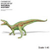 Safari LTD, Carnegie Collectibles, Baryonyx