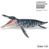 Safari LTD, Carnegie Collectibles, Kronosaurus