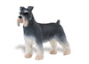 Safari LTD, Best in Show Dogs, Schnauzer