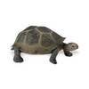 Safari LTD, Wild Safari North American Wildlife, Desert Tortoise