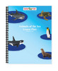 Safari LTD, Bags, Bins & Sets, School Assortments, Animals of the Sea Lesson Plan