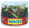 Safari LTD, Bags, Bins & Sets, Bulk Bins, Insects Bulk Bin