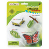 Safari LTD, Safariology, Life Cycle, Life Cycle of a Monarch Butterfly Set