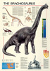 Safari LTD, Dinosaurs Posters, The Brachiosaurus Laminated Poster