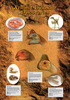 Safari LTD, Dinosaurs Posters, Ancient Dino Discoveries Laminated Poster