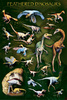 Safari LTD, Dinosaurs Posters, Feathered Dinos Non Laminated Poster