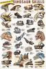 Safari LTD, Dinosaurs Posters, Dinosaur Skulls Non Laminated Poster