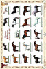 Safari LTD, Horses Posters, Horses & Ponies of the World Non Laminated Poster