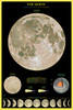 Safari LTD, Space Posters, The Moon Non Laminated Poster