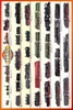 Safari LTD, Transportation Posters, Steam Locomotives Non Laminated Poster