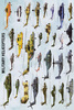 Safari LTD, Transportation Posters, Military Helicopters Non Laminated Poster