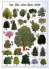 Safari LTD, Planet Earth Climate Change Posters, Trees Laminated Poster