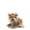 Gund, Gund, Dogs & Cats, Kaelin Yorkshire Terrier - 6