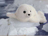 Gund, Gund, Earth Sea & Sky, Seal - 15