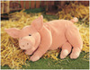 Gund, Gund, Earth Sea & Sky, Arnold The Snoring Pig - 16