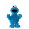 Gund, Sesame Street, Character Plush, Cookie Monster - Fabric Eyes 21