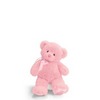 Gund, Baby Gund, My First Teddy, My 1st Teddy Small - Pink 10