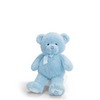 Gund, Baby Gund, My First Teddy, My 1st Teddy Medium - Blue 15